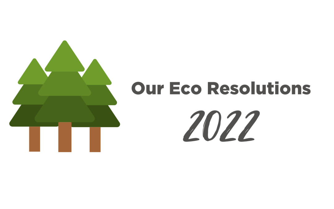 Eco Resolutions